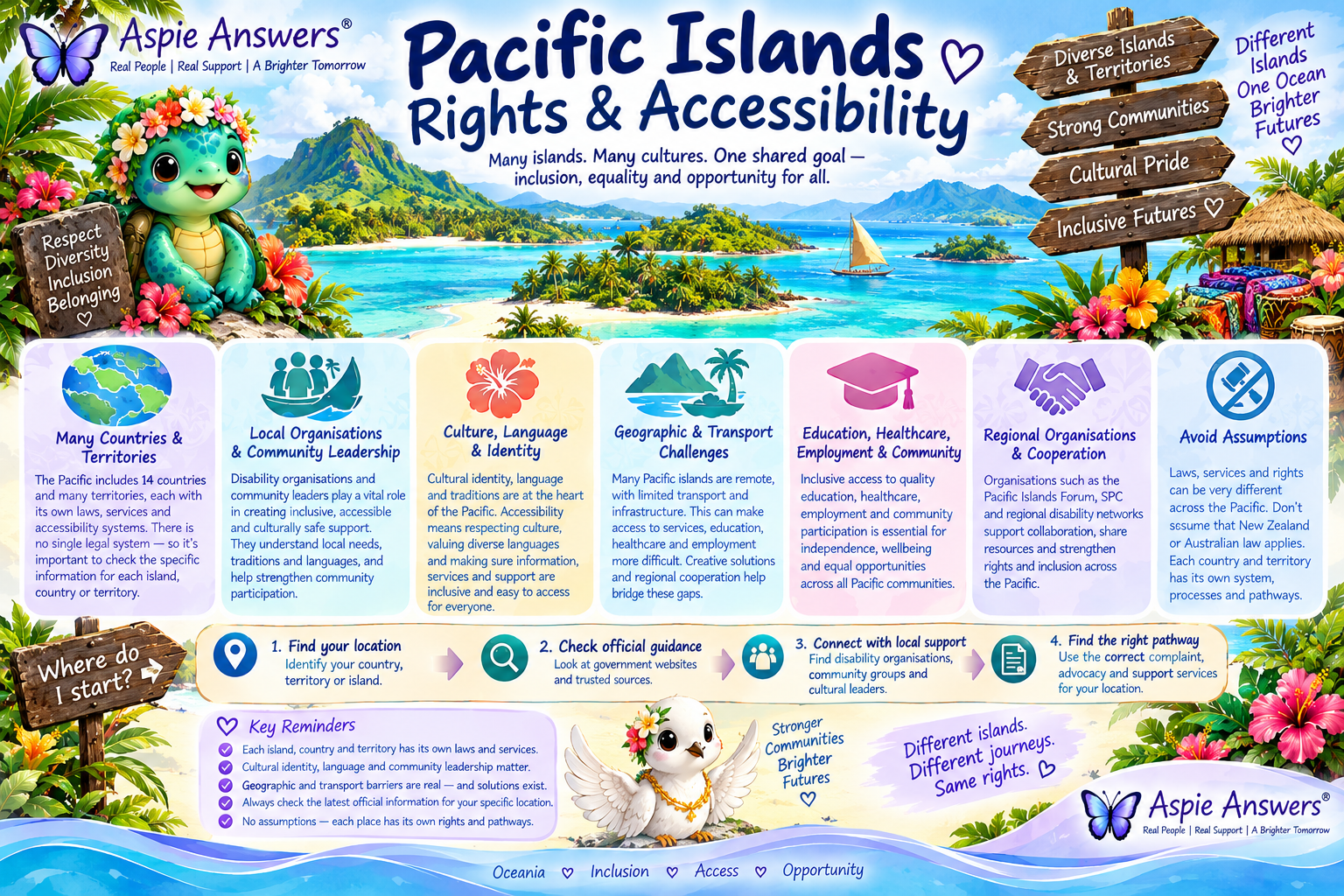 Pacific Islands Rights and Accessibility infographic covering culture, local leadership, geography, services and regional cooperation.